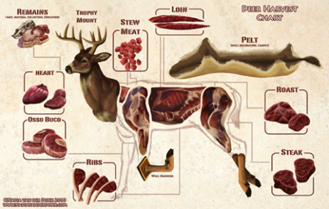 Deer Meat